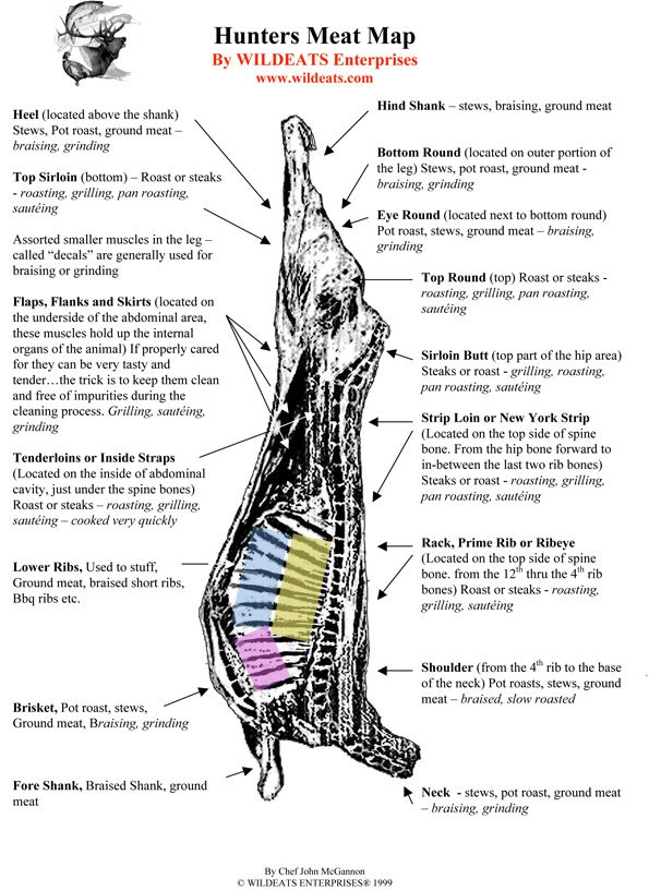 Elk Ribs Page 3 Utah Wildlife Network